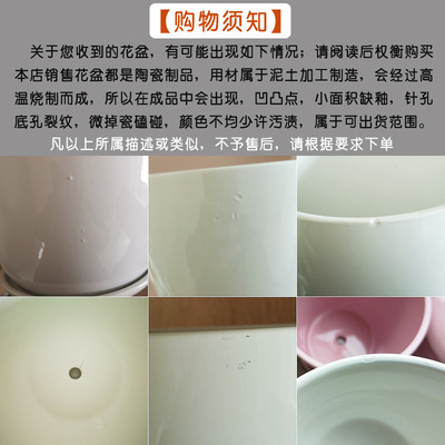 北歐簡(jiǎn)約陶瓷花盆 大中號(hào)套裝特價(jià)清倉(cāng)，附托盤(pán)，適合多肉與家居裝飾